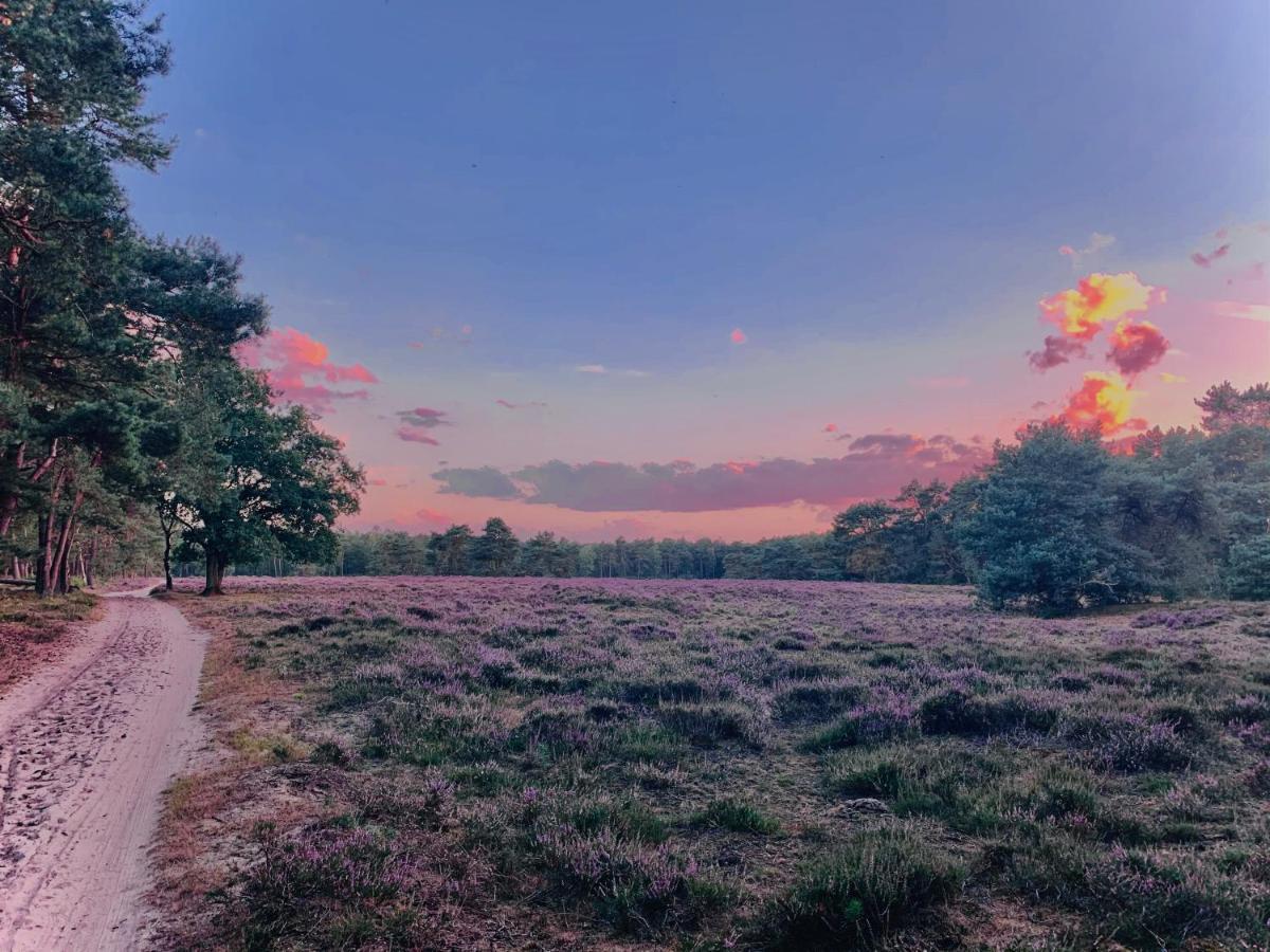 Rode Bosuil: Thuiskomen Op De Veluwe! Оттерло Экстерьер фото